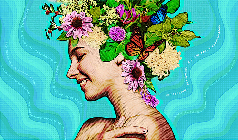 Best Herbs to Boost Your Immune System Naturally